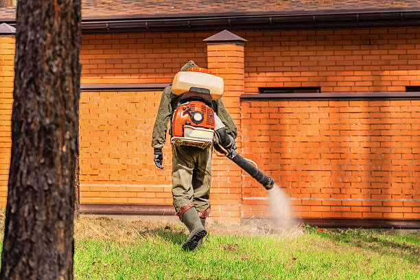 Trusted Bed Bug Control service in Spring Lake, NJ - Nex Pest Control